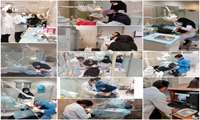 برگزاری اردوی جهادی دندانپزشکی توسط گروه جهادی دانشکده